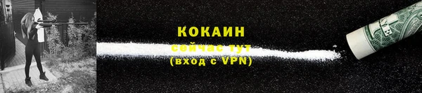 мяу мяу мука Аркадак