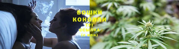 крисы Армянск