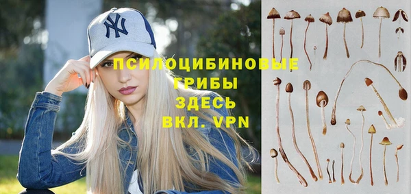 мяу мяу мука Аркадак