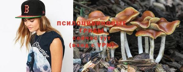 гашишное масло Арсеньев