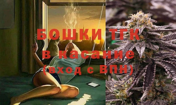 крисы Армянск