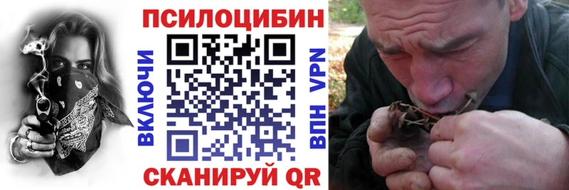 Псилоцибиновые грибы Psilocybine cubensis  где продают наркотики  darknet состав  Сортавала 